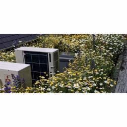 uk-green-roofing-wildflower-mat-1-sqm.jpg