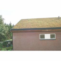 mr-green-light-weight-pitched-living-roof-kit.jpg