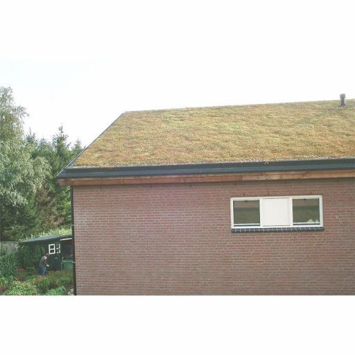mr-green-light-weight-pitched-living-roof-kit.jpg