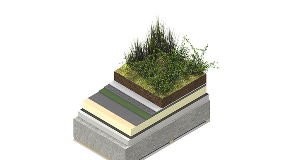 Inverted Green Roof