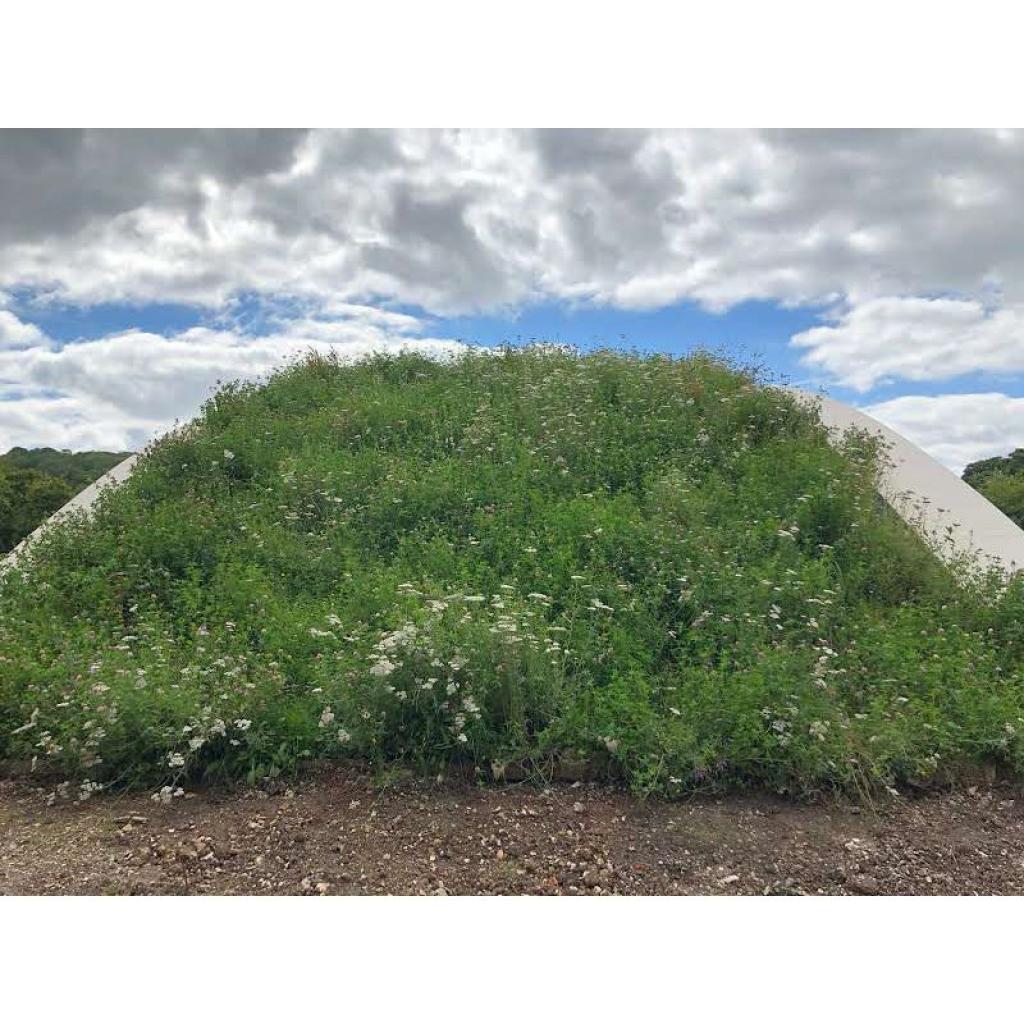 Green Roof Kits