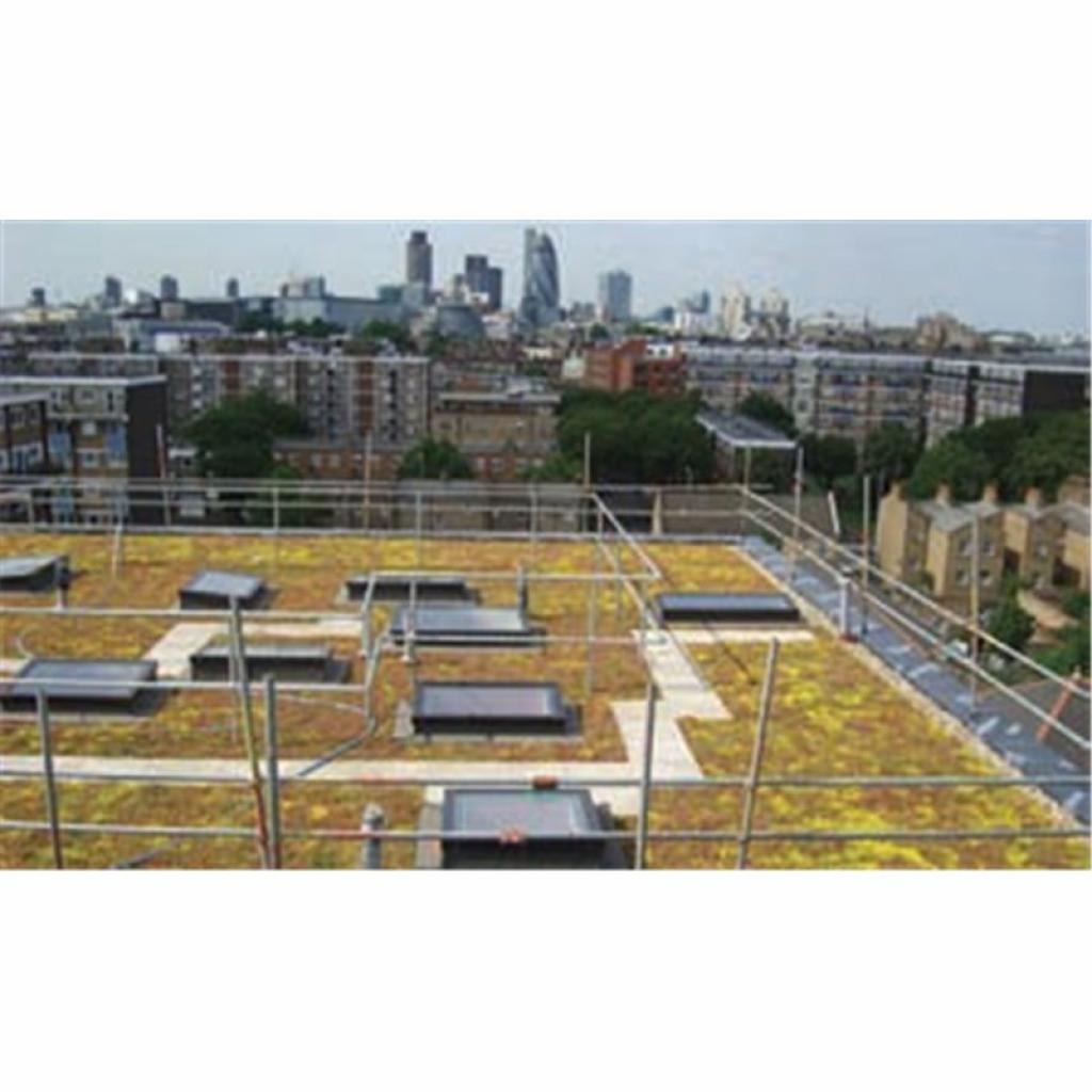Green Roof Kits Sedum Wildflower UK Flat Roofing