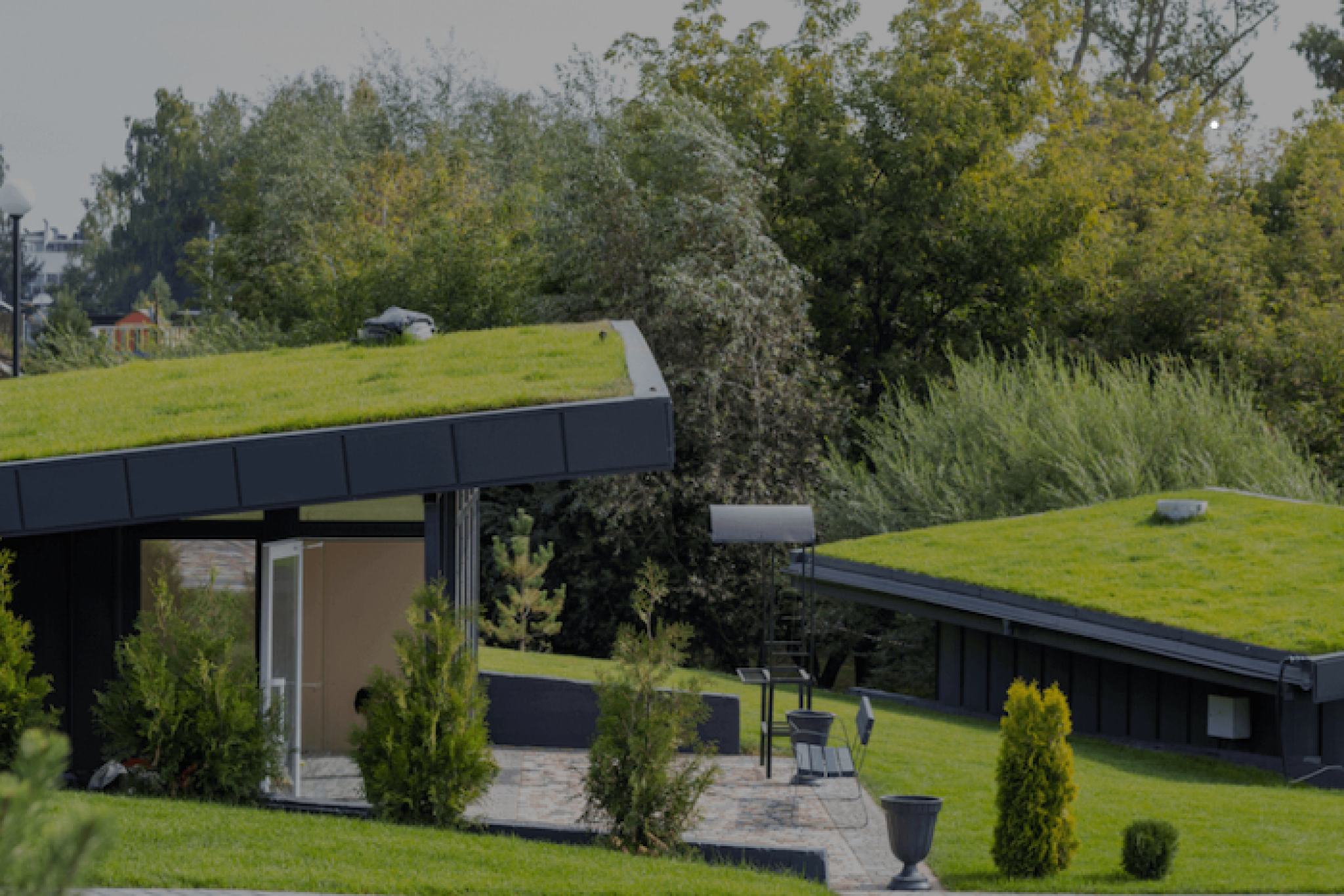 Green Roof.png